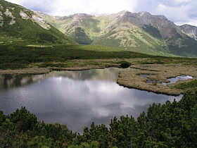 pleso