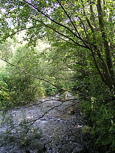 podhorský potok