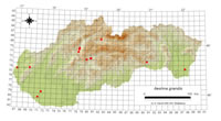 Aeshna grandis - výskyt na Slovensku