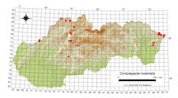 Cordulegaster bidentata - výskyt na Slovensku