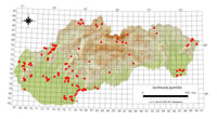 Ischnura pumilio - výskyt na Slovensku