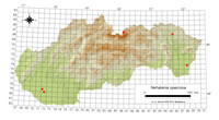 Nehalennia speciosa - výskyt na Slovensku
