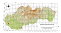Sympetrum pedemontanum - výskyt na Slovensku