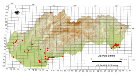 Aeshna affinis - výskyt na Slovensku