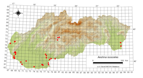 Aeshna isosceles - výskyt na Slovensku