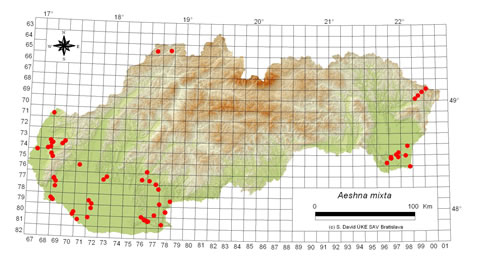 Aeshna mixta - výskyt na Slovensku