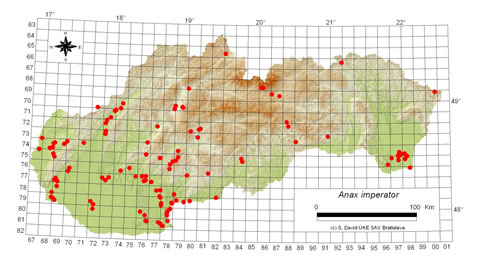 Anax imperator - výskyt na Slovensku