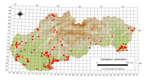 Calopteryx splendens - výskyt na Slovensku