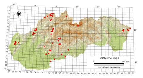 Calopteryx virgo - výskyt na Slovensku