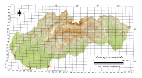 Coenagrion mercuriale - výskyt na Slovensku