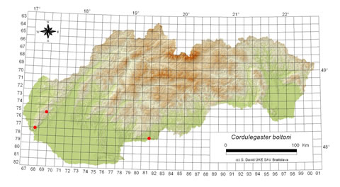 Cordulegaster boltoni - výskyt na Slovensku