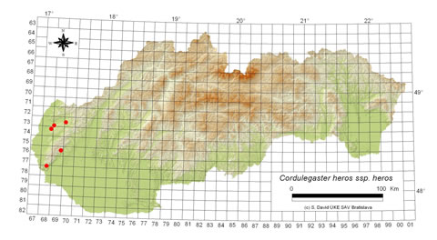 Cordulegaster heros - výskyt na Slovensku