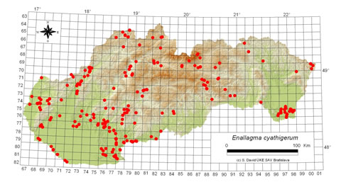 Enallagma cyathigerum - výskyt na Slovensku