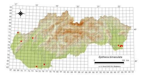 Epitheca bimaculata - výskyt na Slovensku