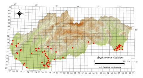 Erythromma viridulum - výskyt na Slovensku