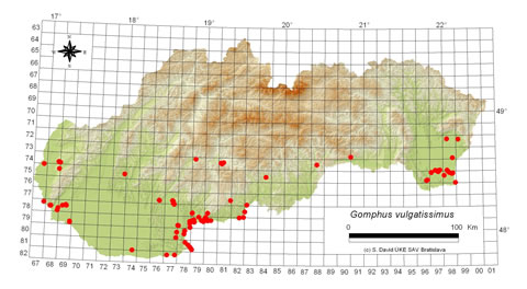 Gomphus vulgatissimus - výskyt na Slovensku