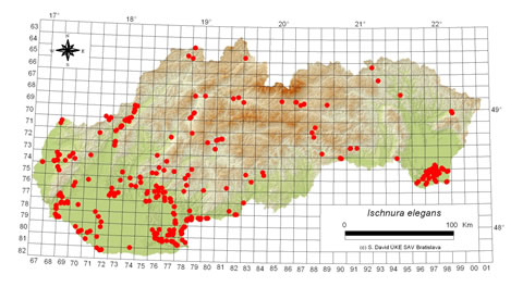 Ischnura elegans - výskyt na Slovensku