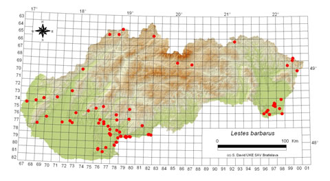 Lestes barbarus - výskyt na Slovensku