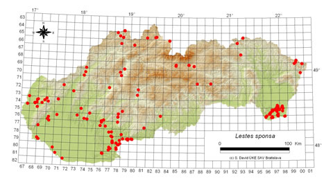 Lestes sponsa - výskyt na Slovensku