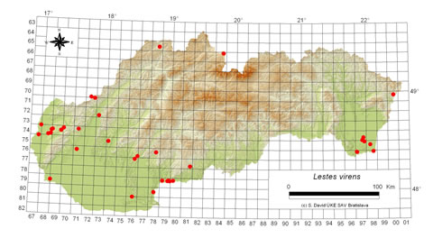 Lestes virens - výskyt na Slovensku