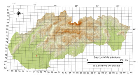 Leucorrhinia albifrons - výskyt na Slovensku