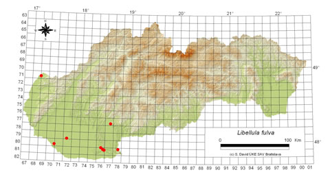 Libellula fulva - výskyt na Slovensku