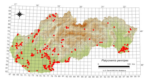 Platycnemis pennipes - výskyt na Slovensku