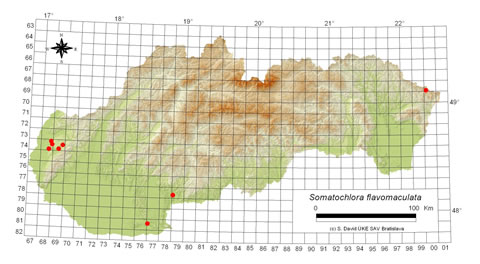 Somatochlora flavomaculata - výskyt na Slovensku