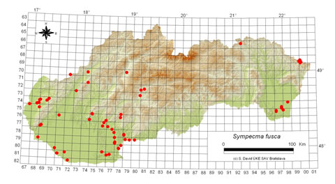 Sympecma fusca - výskyt na Slovensku