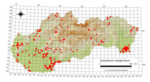 Sympetrum sanguineum - výskyt na Slovensku